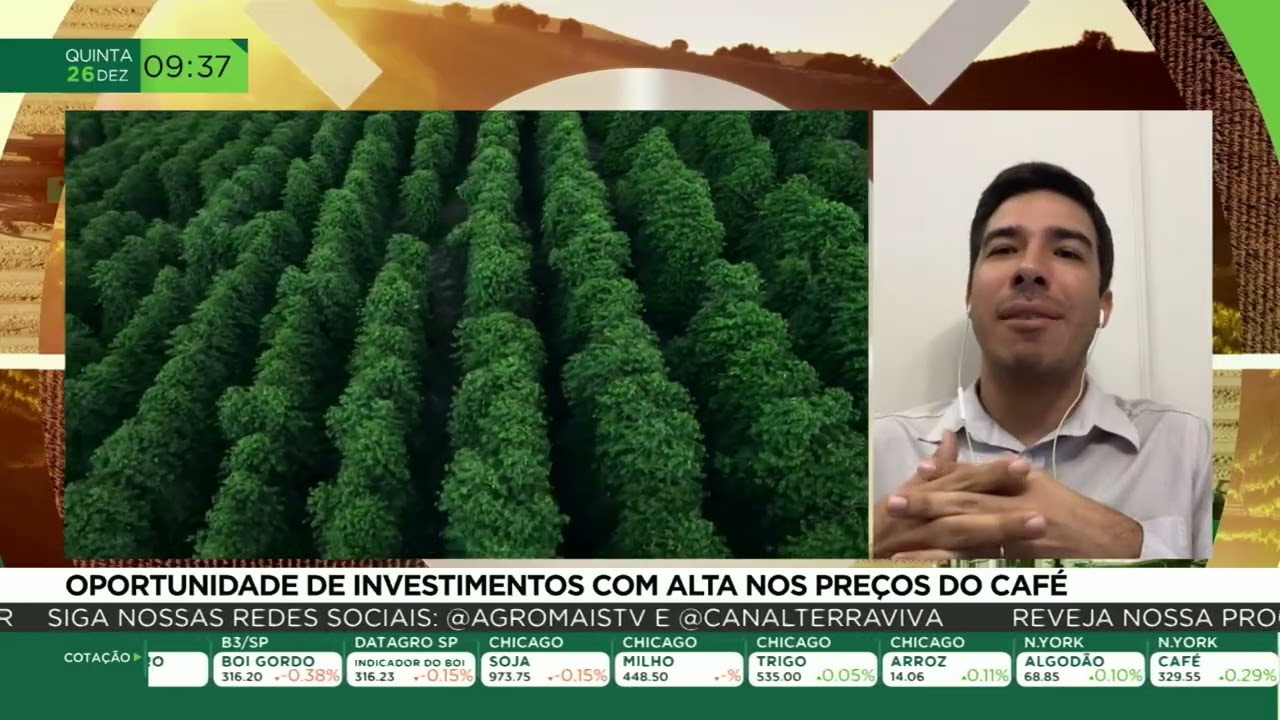 Oportunidade de investimentos com a alta nos preços do café.