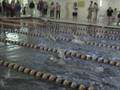 videos de 11-15-08 Anniston Swimming Backstroke