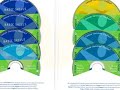 NCCS, National Coalition For Cancer Survivorship