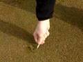 Golf Pro Lesson Repair your ball mark properly!