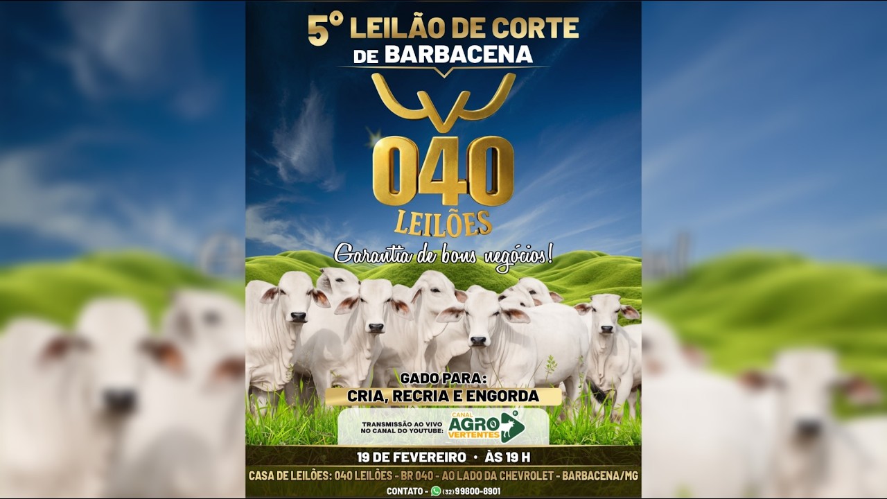 5º LEILÃO DE GADO DE CORTE PRESENCIAL E VIRTUAL 040 LEILÕES - BARBACENA/MG - 19/02/2026