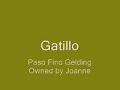 gatillo paso fino what gait