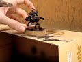 Painting miniatures Dipingere miniature (il colore base) Painting miniatures Dipingere miniature (il colore base)
