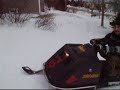 newfie-sledz
