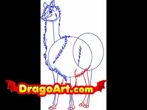 how to draw llama step by step