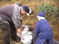 Elgjakt med Jaktjan.com Episode 0,5.