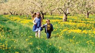 Bienvenida primavera