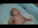 Nicolas062308.1 Nicolas062308.1