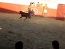 Capea en la perA Capea en la perA