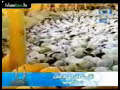 امام الحرم المكي الشريف