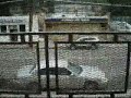 Q SIREN