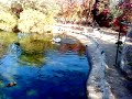 MOV00176.MP4