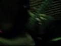 payaso-razorback
