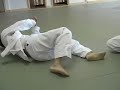 BJJ Blue Belt Exam BJJ Blue Belt Exam