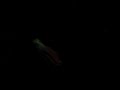 les-lepreuz-se-cassent-le-nez.html