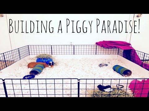 video-linktoworks-DIY Guinea Pig C&C Cage | How to Build a C&C Cage!