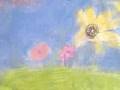 animatie sensatie