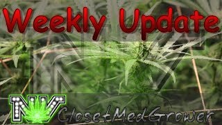 Weekly Update 7/27/2017 by  NVClosetMedGrower