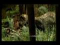 ERA DE LOS TITANES 1 - Caminando con dinosaurios - mundo perdido - prehistoria - cuentos de la tierra