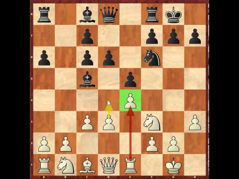 chess candidates 2013