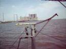 Shrimp Boat - Dolphin, Schooners, Barge Lookout