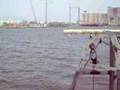 Shrimp Boat - Dolphin, Schooners, Barge Lookout