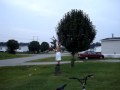 B-Ball Skills