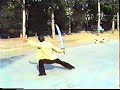 Bagua saber year 1991