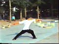 bagua-saber-year-1991.html