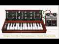Morgen kommt der Weihnachtsmann - Robert Moog Doodle