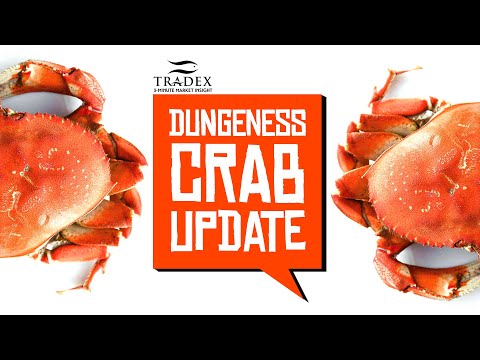 3MMI - Global Dungeness Crab Fall Market Update