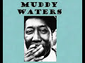 muddy waters & james cotton