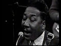 Muddy Waters & James Cotton - You Can\