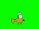 Miss� lampaat ratsastaa