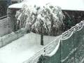 PANNELLI SOLARI NEVE_YT
