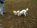 videos de Tuffy and Friend