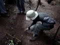 Iquazu Rainforest, How to trap a snake Iquazu Rainforest, How to trap a snake