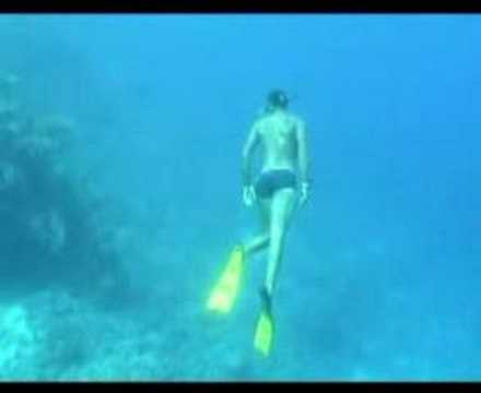 Donstef nel mar rosso!