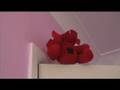 videos de Trowby And Lisa: Episode Two: Curse Of The Dragon