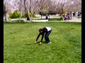 TAKLA show-g.ant TAKLA show-g.ant