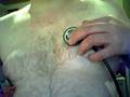 videos de H22.11.08