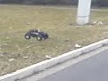 Savage X 4.6 3speed Savage X 4.6 3speed