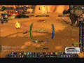 WoW game play: pro \"warlocking\"
