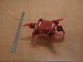 Robokits Hexapod 2DOF, Walking & turning demo