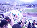 hmedcom2009,,