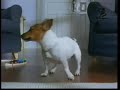 Ikea Ad