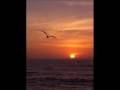 videos de Compulsive Gambling Problem - Gambling Addiction & Recovery