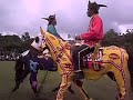 Tamu Besar 2007 - Bajau Horsemen