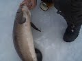 Kevin Ice fishin Bago Sturgeon