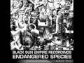 Black Sun Empire - Potemkin